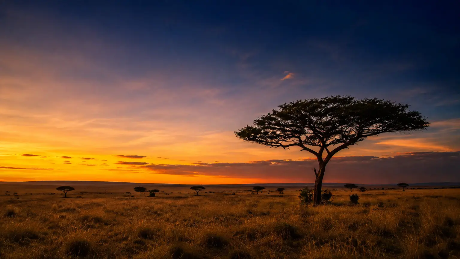 Maasai Mara landscape — Kenya's natural landscape as brand backdrop
